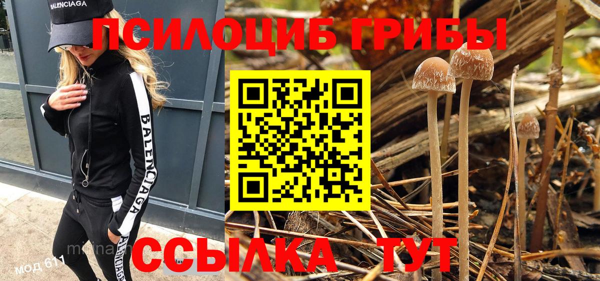 Галлюциногенные грибы Cubensis Сатка