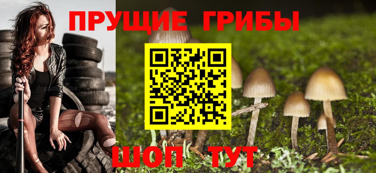 Сатка  Псилоцибиновые грибы мицелий  Вход с VPN 